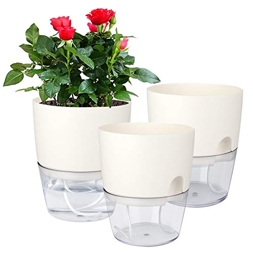 6 Inch Self Watering Pots for Indoor Plants African Violet Pots (3 Count)