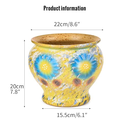 9 Inch Hand Painted Ceramic Succulent Plant Pots