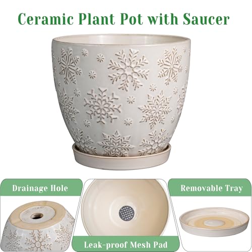 Ceramic Planter