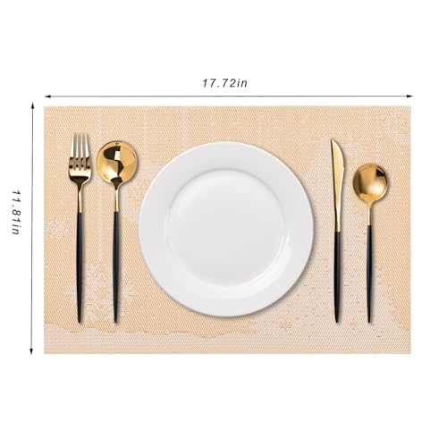 Placemats Set of 6 Washable Indoor (6 Count)