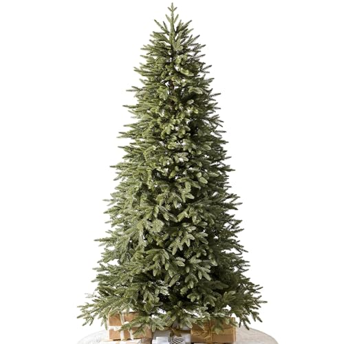 Stratford Spruce