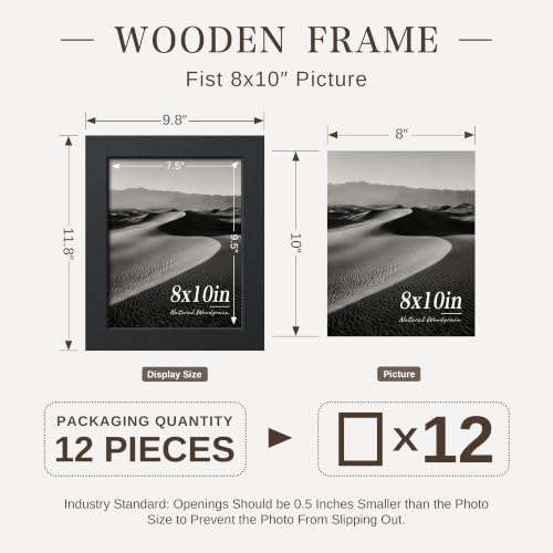 8x10 Picture Frame Set of 12