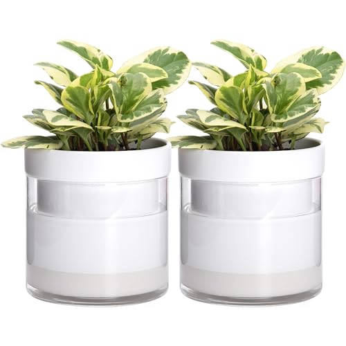 6 Inch Self Watering Planter (2 Count)