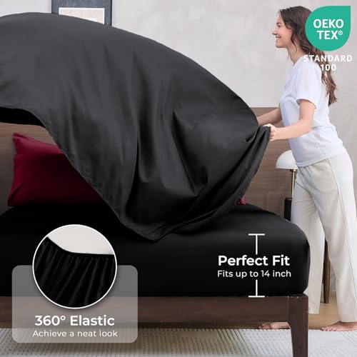 7 Piece Queen Comforter Set