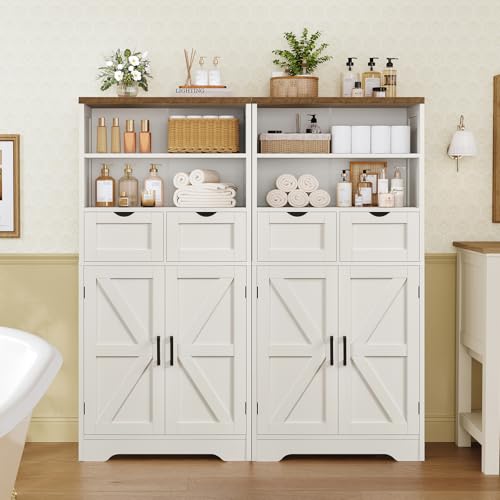 Storage Cabinet with Doors & 2 Drawers