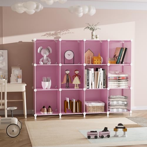 12 Cube Storage Organizer