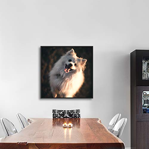 Custom Framed Canvas Prints with Your Photo for Pets