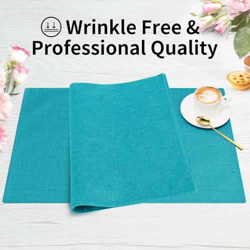 Cloth Placemats (4 Count)