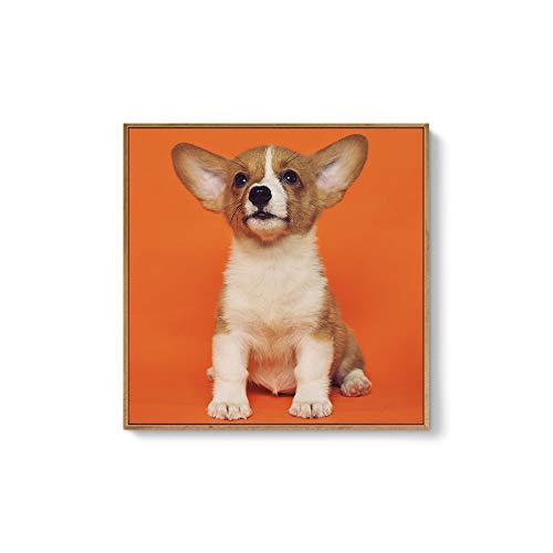 Custom Framed Canvas Prints with Your Photo for Pets