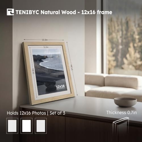 12x16 Picture Frame 3 Pack (3 Count)