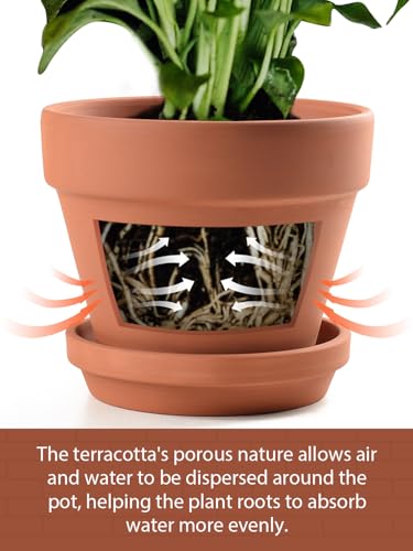 Terracotta Pots Set with Saucer (3 Count)