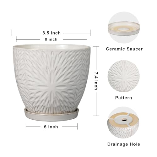 8 Inch Ceramic Plant Pot with Drainage Hole and Saucer