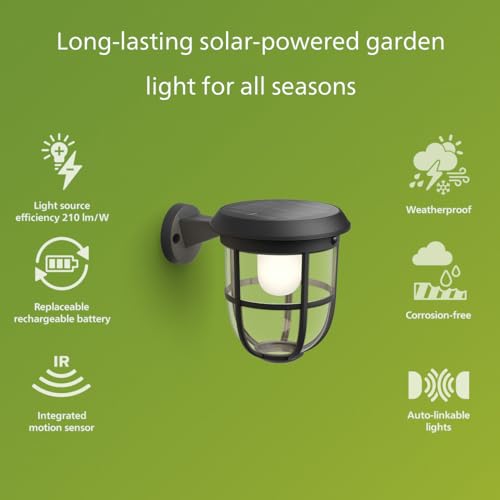 Solar LED UltraEfficient Wall Lantern