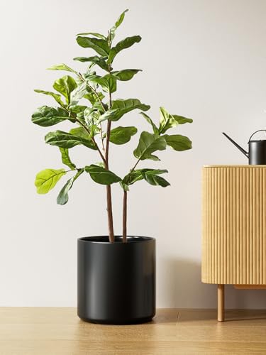 12 Inch Pot for Plants