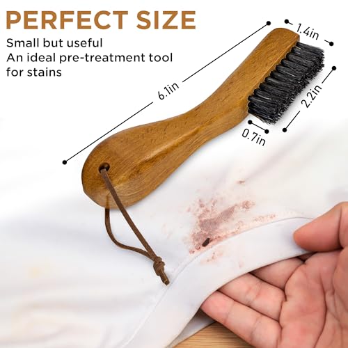 Laundry Stain Brush 1pcs (2 Count)