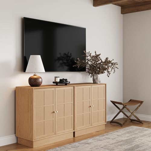 Elise Modern Coastal Storage Cabinet
