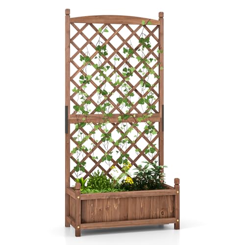 60” Raised Garden Bed with Trellis