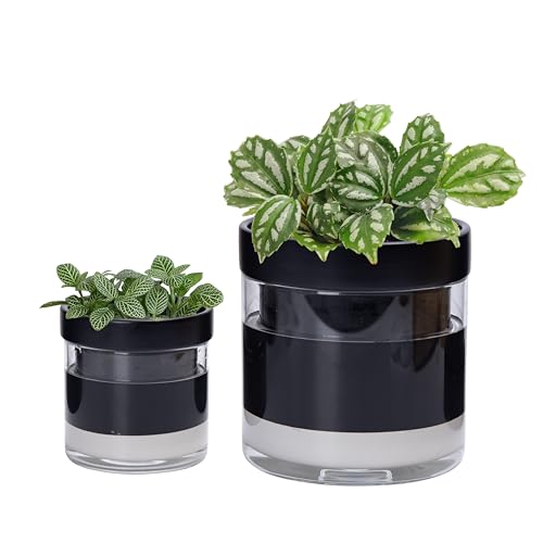 6 Inch 4 Inch Self Watering Terracotta Planter