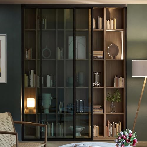 Glass Room Divider and Sliding Glass Closet Doors