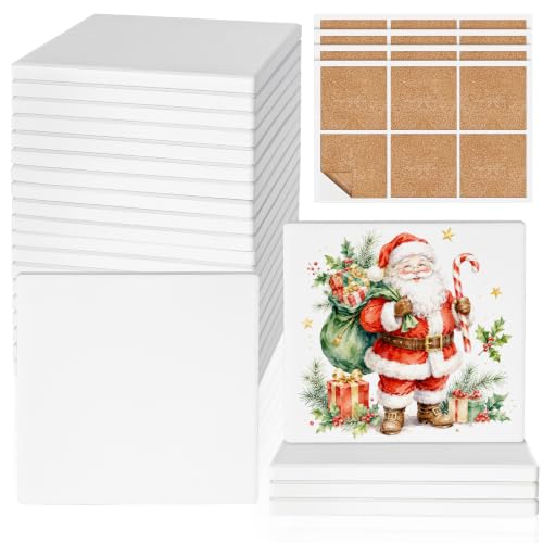 24 PCS Ceramic Tiles for Crafts (24 Count)