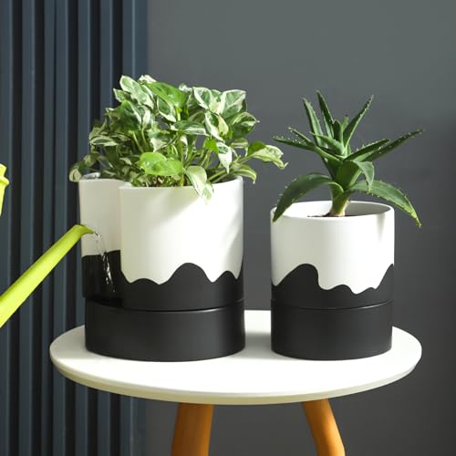 Self Watering Plant Pot