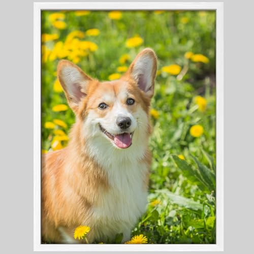 Custom Framed Poster Prints with Your Any Photos