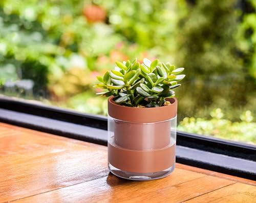 4 Inch Self Watering Planter Pot (3 Count)