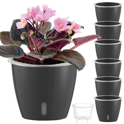 Self Watering Pots for Indoor Plants