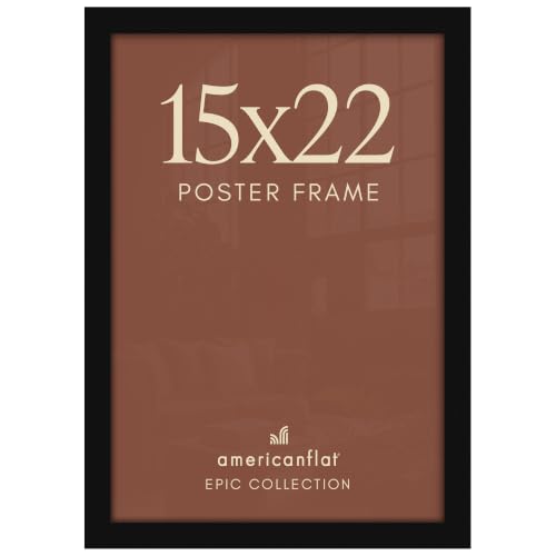 15x22 Poster Frame