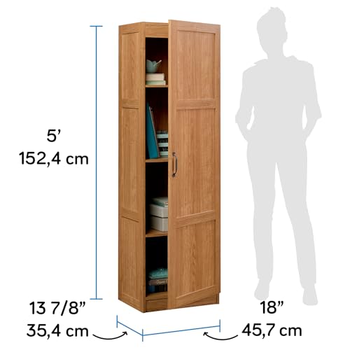Miscellaneous Storage Cabinet