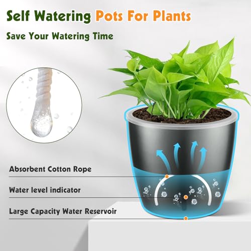 Self Watering Pots for Indoor Plants (6 Count)