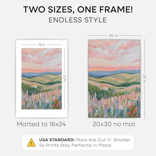 20x30 Silver Picture Frame (2 Count)