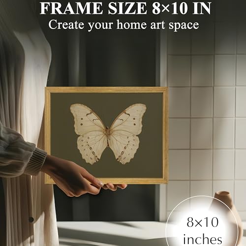 Wood Framed Butterfly Wall Art