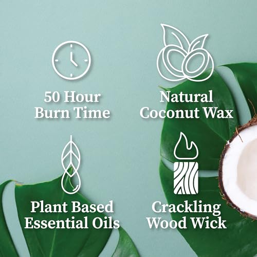 Eucalyptus Mint Amber & Gold Wood Wick Candle