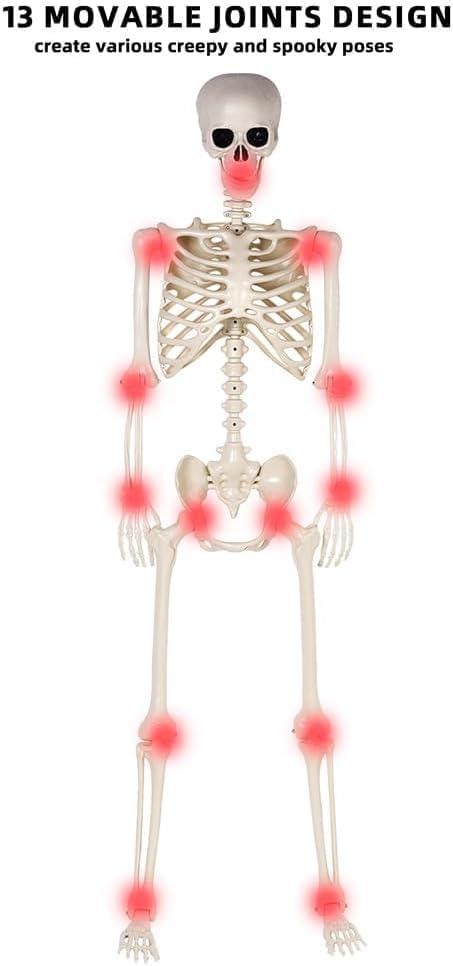4 Pack 36" Halloween Skeleton