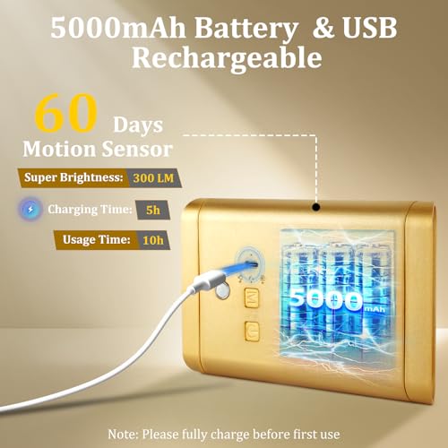 Motion Sensor Wall Sconce