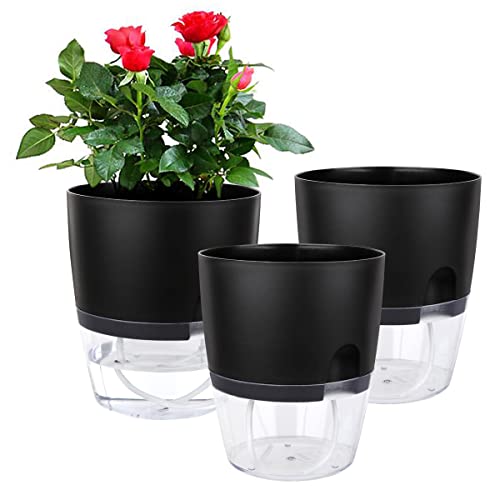 6 Inch Self Watering Pots for Indoor Plants African Violet Pots (3 Count)