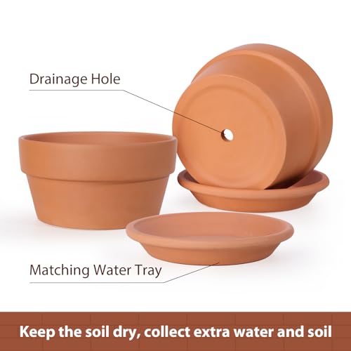 8 Inch Terracotta Shallow Pots Set with Saucer (2 Count)