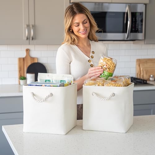 12x12 Cube Storage Bins (4 Count)