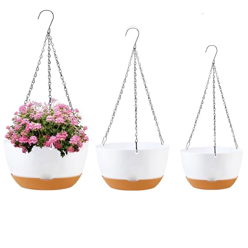 Hanging Planters (3 Count)