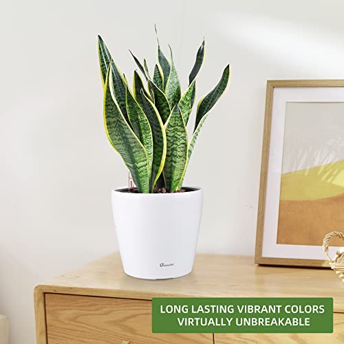 9x8 Self Watering Planter