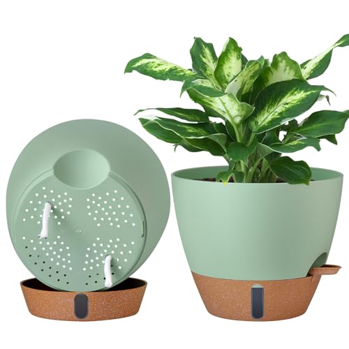 2 Pack 10 inch Plant Pots (2 Count)