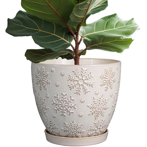 Ceramic Planter