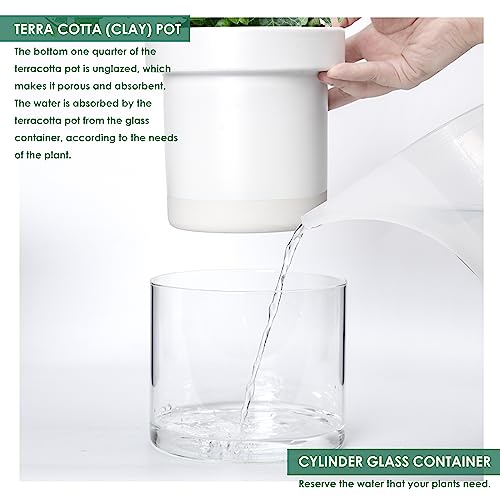 6 Inch Self Watering Planter (2 Count)