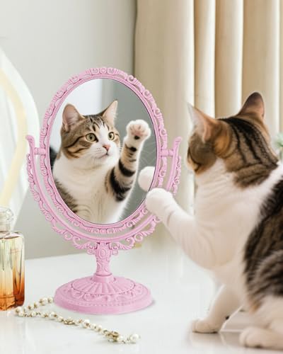 Pink Vintage Vanity Mirror Shabby Chic Decor