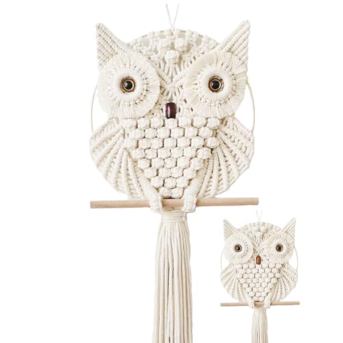 Owl Macrame Wall Hanging
