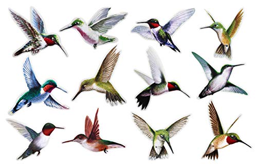 24 Pack Large 6" Static Cling Window Decorations Hummingbirds (24 Count)