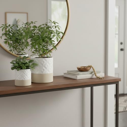 Self Watering Plant Pot for Indoor Plants
