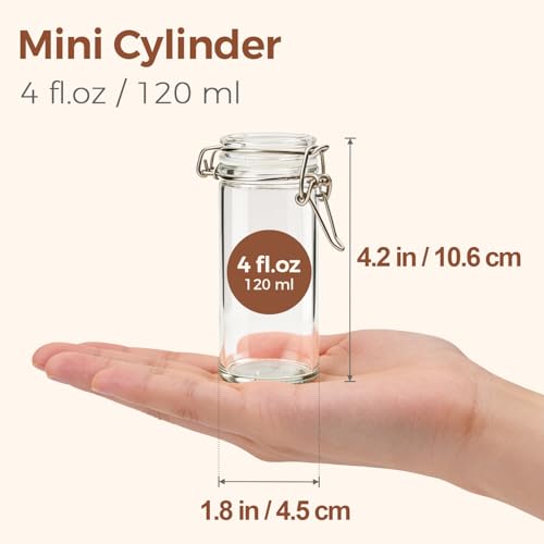Small Glass Spice Jars with Airtight Lids 4oz 12 Pack with Labels (12 Count)
