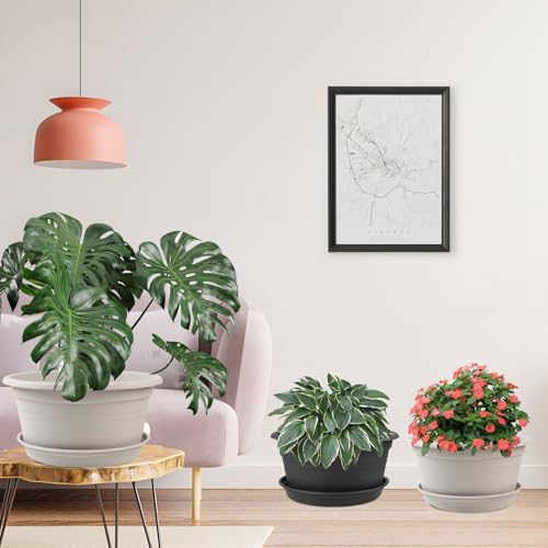 6 Pack 10 inch Plant Pot (6 Count)